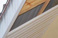 rated Ball Haye Green soffit repair companies